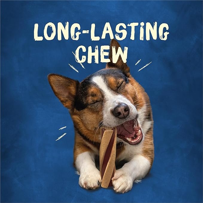 Purina Busy With Beggin’ Twist’d Small/Medium Breed Dog Treats, 18 ct.