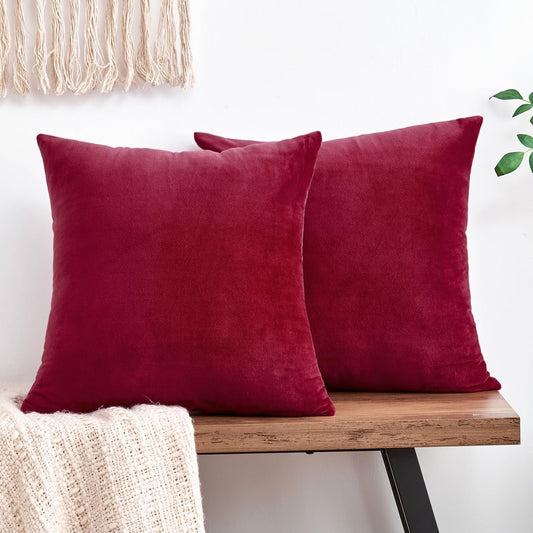 Member’s Mark Dutch Velvet 2-Pack Decorative Pillows, 22″ x 22″, Assorted Colors